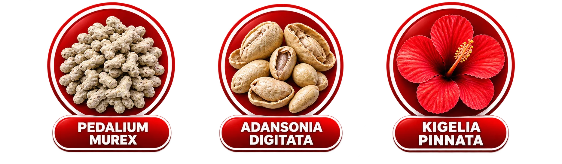 100% Pure African Herbs — Pedalium Murex, Adansonia Digitata and Kigelia Pinnata